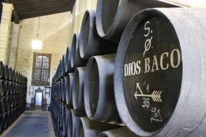 Bodegas Dios Baco